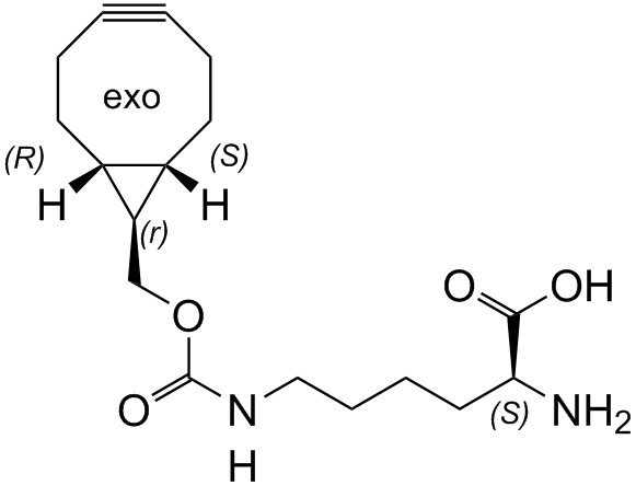 BCN_exo iSC-8016j	