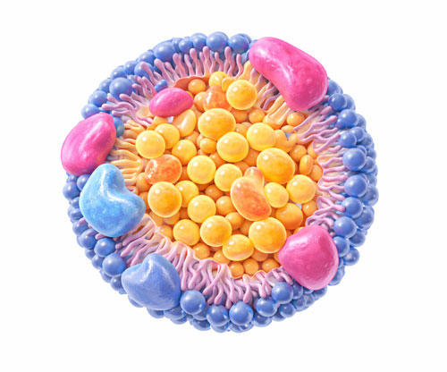 �����q�̃A�v���P�[�V�����m�[�g