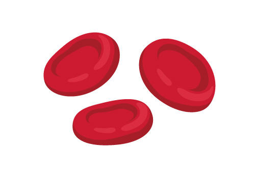 SEW_bloodcell_icon.jpg