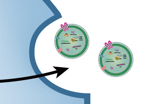 SEW_exosome_icon.jpg