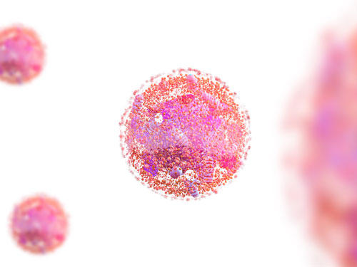 �זE�̃A�v���P�[�V�����m�[�g