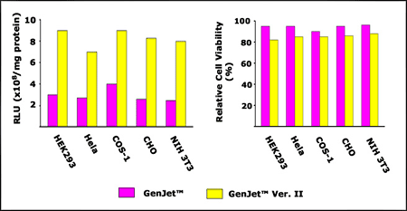 ]iƂ̔r - GenJet(TM) in vitro DNAgXtFNViver.2j