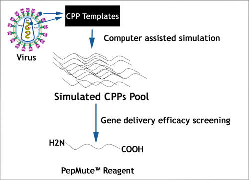 Peptide simulation technology, PST