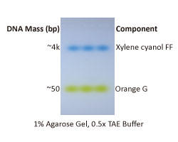 ExcelDye 6× DNA Loading Dye, Green