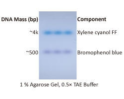 ExcelDye 6× DNA Loading Dye,  Blue