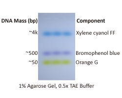 ExcelDye 6× DNA Loading Dye, Tri-color