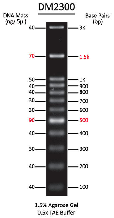ExcelBand 100 bp+3K DNA Ladder