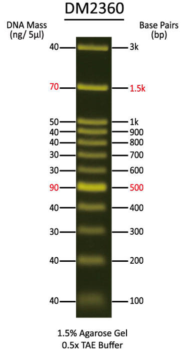 FluoroBand 100 bp+3K Fluorescent DNA Ladder