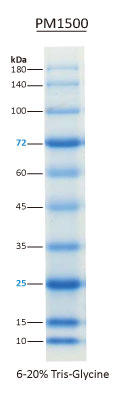 ExcelBand All Blue Regular Range Protein Marker