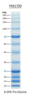 ExcelBand All Blue Broad Range Plus Protein Marker