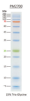 ExcelBand 3-color Broad Range Protein Marker