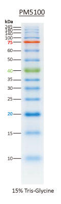 ExcelBand 3-color Pre-Stained Protein Ladder High Range
