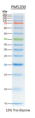 ExcelBand 3-color Pre-Stained Protein Ladder Broad Range