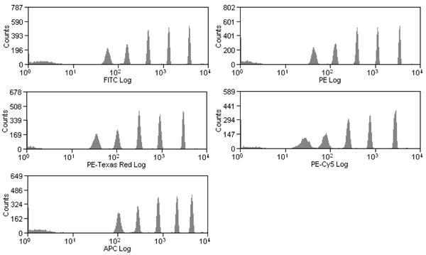 iRCP-32-5̃qXgO