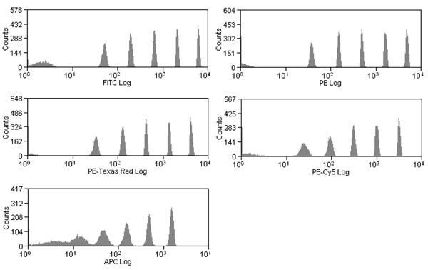 iRCP-60-5̃qXgO