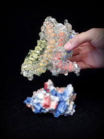 STM_molecular-model_1.jpg
