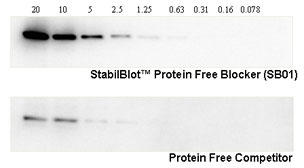 StabilBlot™ Protein-Free Blocker