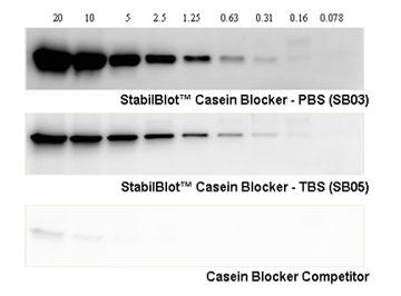 StabilBlot™ Casein Blocker