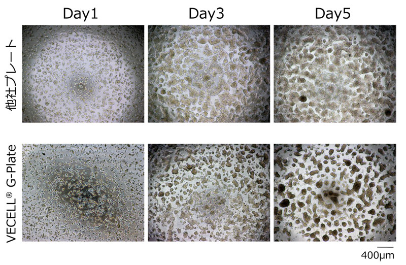 Gas Permeable Vecell G Plate 酸素透過膜を用いた3次元培養プレート コスモ バイオ株式会社