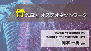 骨免疫学とオステオネットワーク