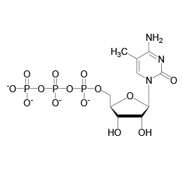 5-Me-CTP