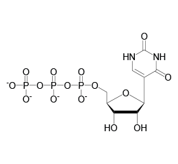 Pseudo-UTP