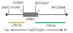 SPEC NTRK3v[ũ}bv