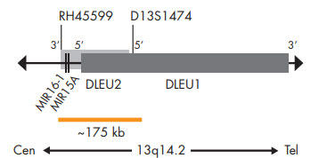 SPEC D13S319v[uE}bv