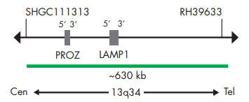 SPEC 13q34v[uE}bv