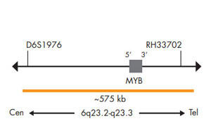 SPEC MYBv[uE}bv