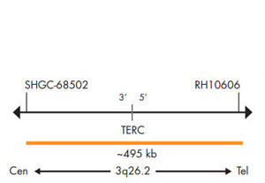 SPEC TERCv[uE}bv