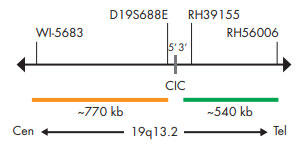 SPEC CIC�v���[�u�}�b�v
