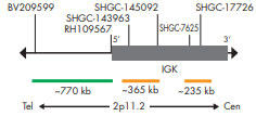 IGK v[ũ}bv