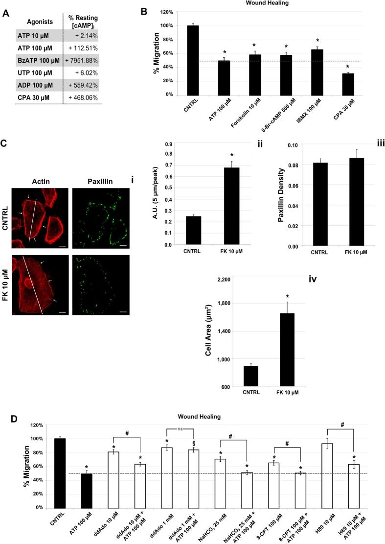 aat_bioquest_news_202206_1_abd_01.jpg