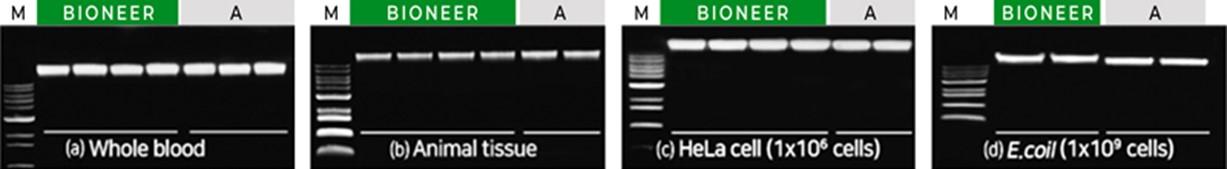 EcoQprep(TM) ゲノムDNA抽出キット 製品データ