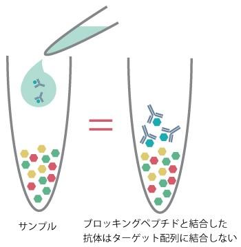 blocking-peptide-alo_01.jpg