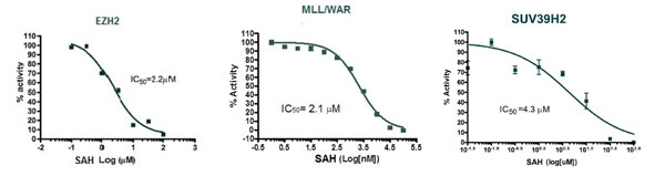 bps-biochemical-based-assays_02.jpg