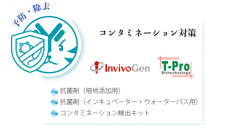 �R���^�~�l�[�V�����΍�