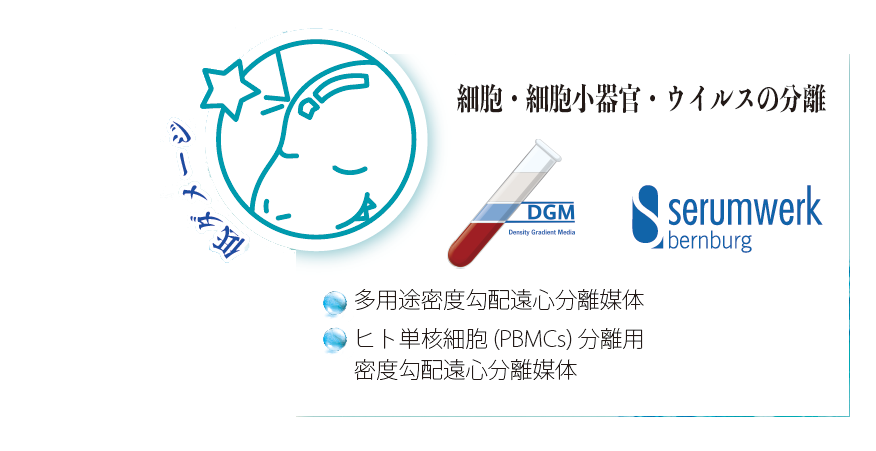 �זE�E�זE���튯�E�E�C���X�̕���