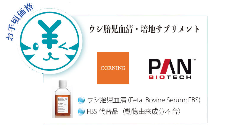 �E�V�َ������E�|�n�T�v�������g