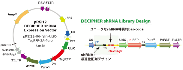 DECIPHER shRNA Library Design