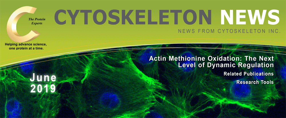 CYTOSKELETON NEWS 2019年6月号