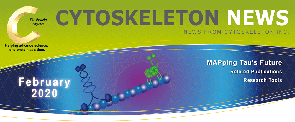 CYTOSKELETON NEWS 2020N2