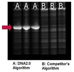 dna_20120217_03.jpg