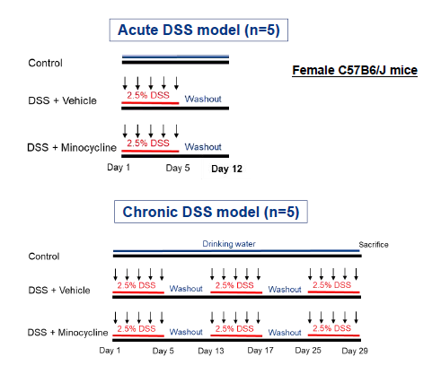 DSS�U���咰�����f��(IBD)�ւ̃~�m�T�C�N����(�R������)���򎎌��T�v