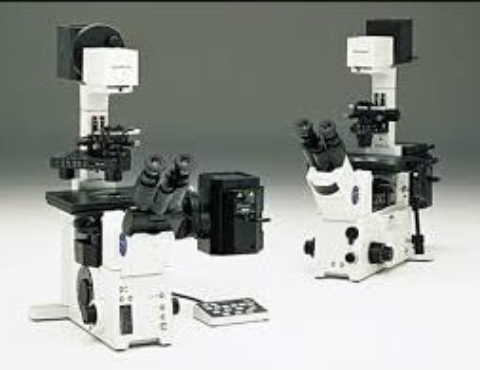 �|���^�u��������+�B�e���u IX71+DP74