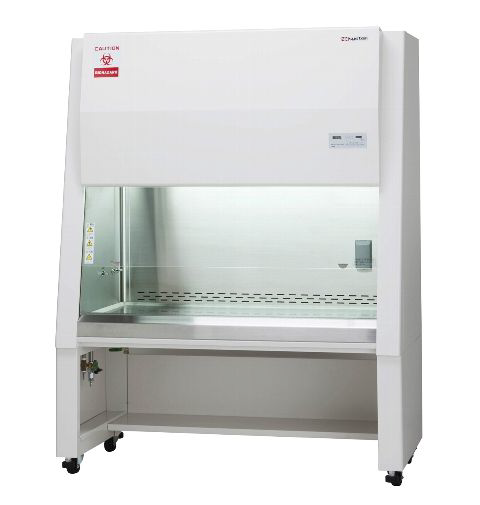 ���S�L���r�l�b�g �N���XII�L���r�l�b�g