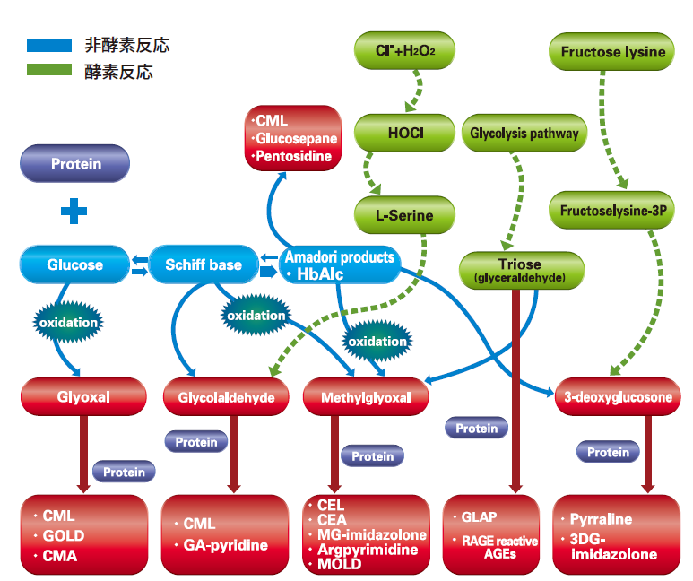 glycation_1.png