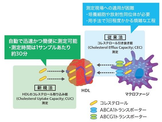 HDL機能測定法概要