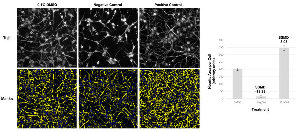 Phenovista社high Content Imaging Analysisサービス高品質なハイコンテントスクリーニングサービス 高品質なハイコンテントスクリーニングサービス コスモ バイオ株式会社